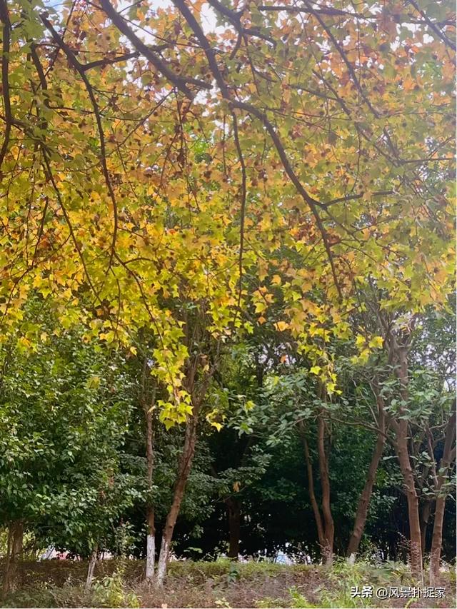 南昌的晚秋,风景美如画