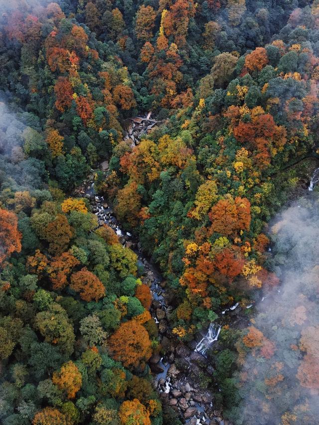 神图有了！在龙苍沟，出片还不是手拿把掐