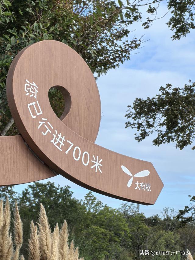 国庆假期来太湖边大有秋 远山近水丰收景 竺山书院福寿寺 蒋捷古墓