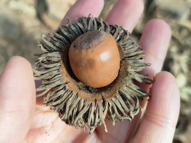 法海寺旅游休闲步道——冬日里的治愈系漫步