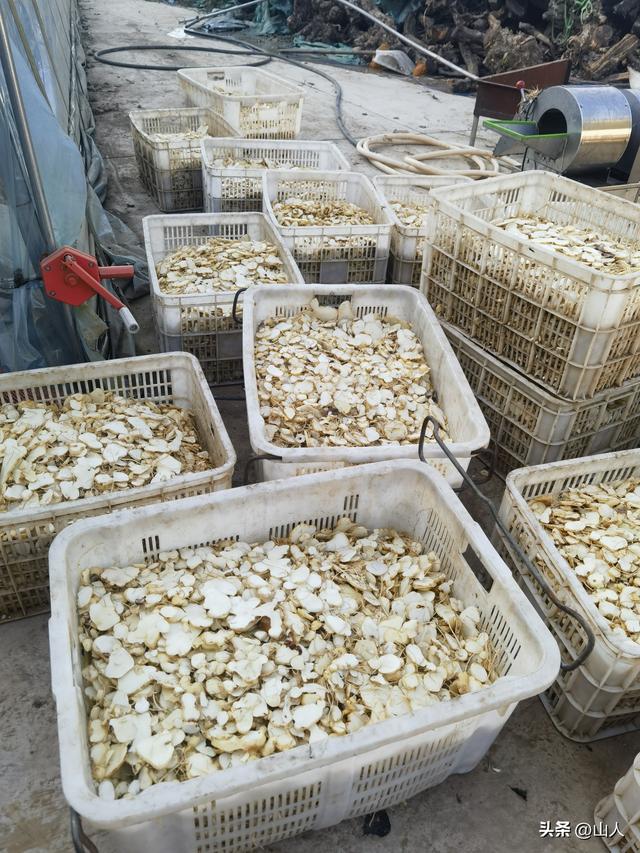 昆明→禄丰——滇西骑行散记之一