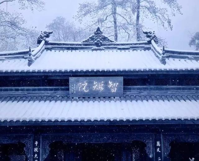 回答我，蒙顶山的雪景美不美？？