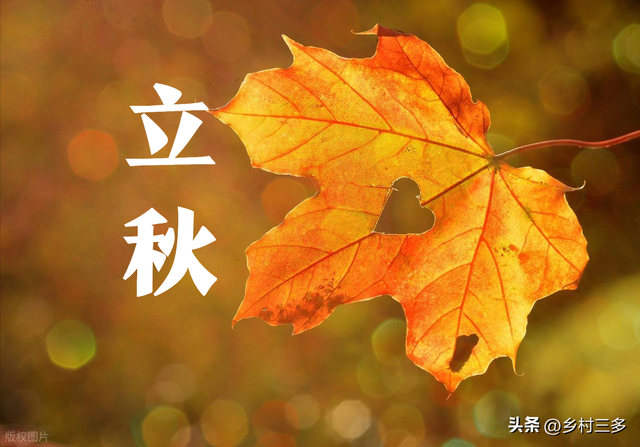 “冷不冷，就看立秋”，今日立秋，今年冬天特别冷吗？看农谚咋说