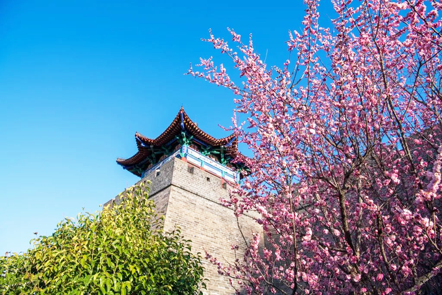 奔“县”潍坊！“龙”游诸城，诸事皆成！