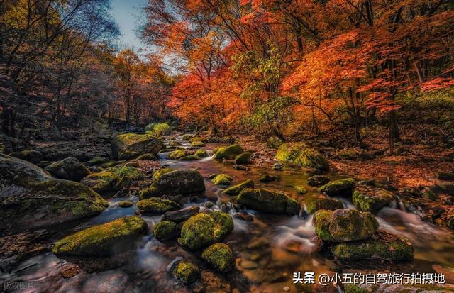 本溪十月赏枫实测攻略！“中国枫叶之都” 交通 + 景点 + 环线不踩坑