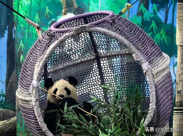 速来！半价特惠！