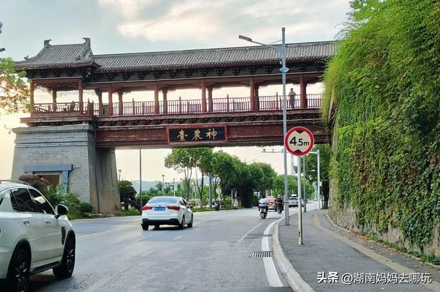 1h车程，带娃在这里挖到“宫崎骏同款夏天”！