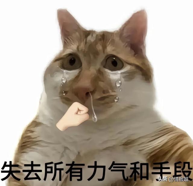 成千上万人抵制GPT更新，因为这会杀死他们的爱人？