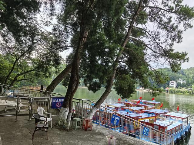 想你的风吹到了百花湖