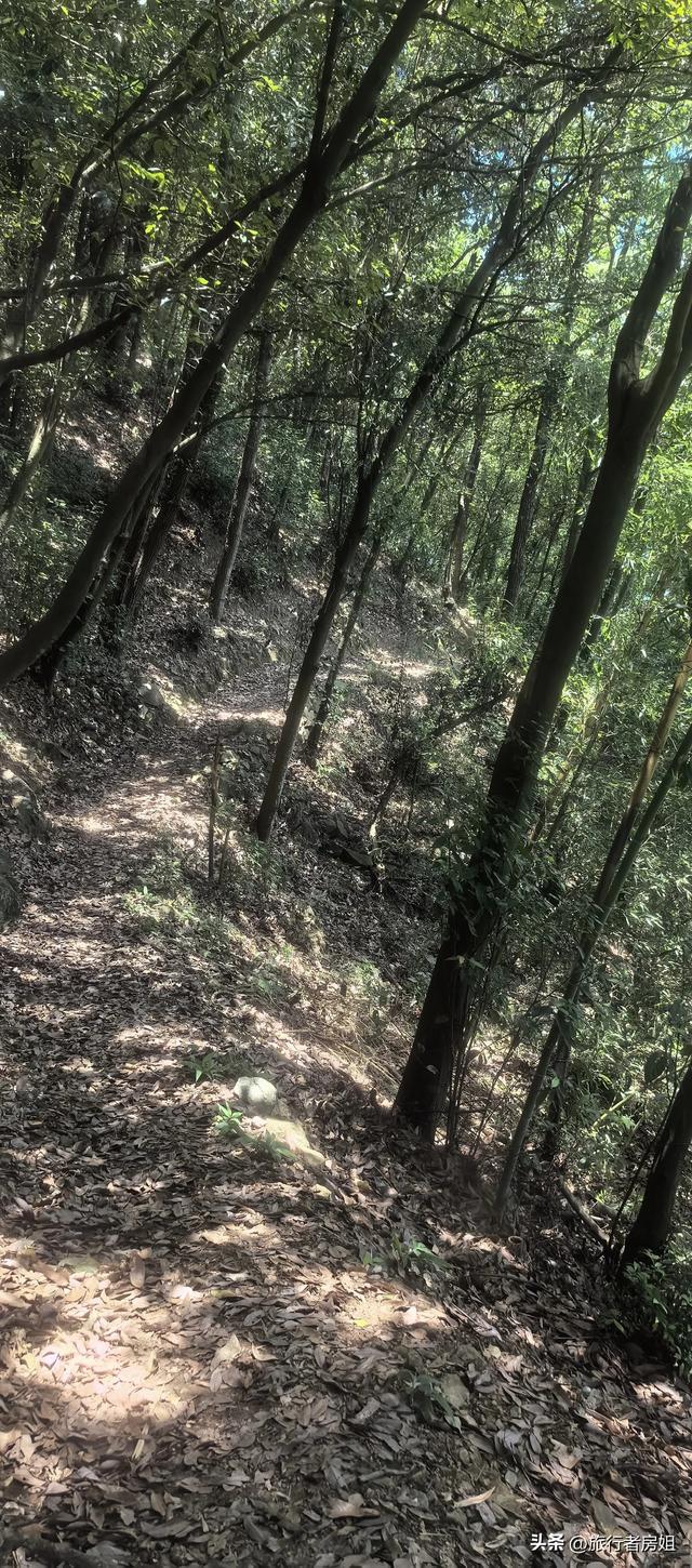 真没想到，在四明山古村深处还隐藏着这样一处水库