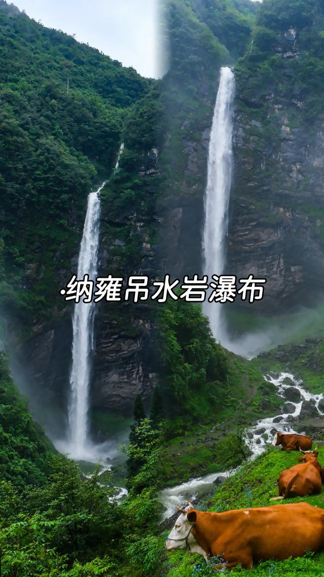 自驾游！跟着《乌蒙深处》打卡毕节