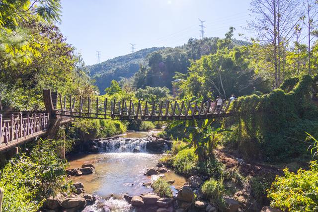 普洱游之那柯里