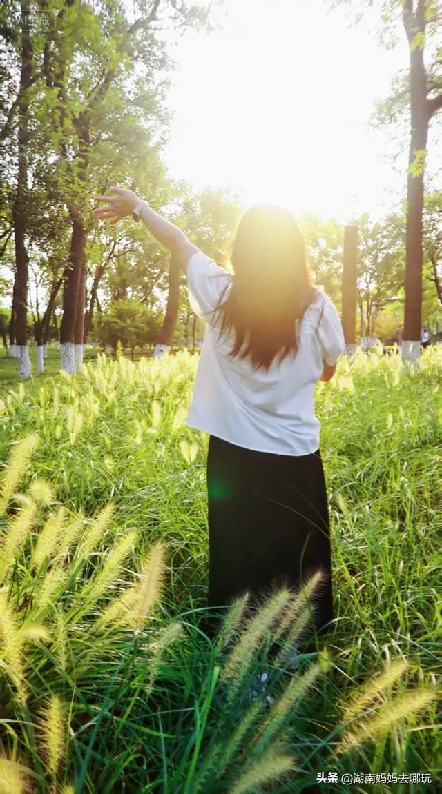 1小时直达！长沙藏了片“狗尾巴草秘境”，免费露营+玩水，人少景美，错过等一年！