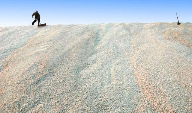 冬日斑斓笔触，书写潍坊滨海的色彩诗篇