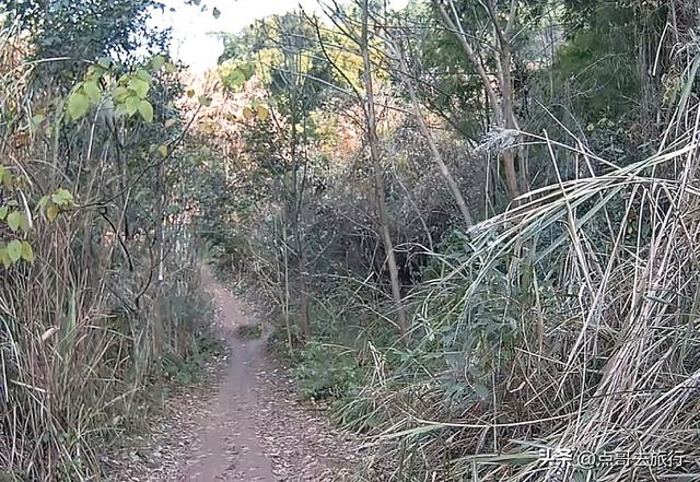 成都龙泉山爆红徒步路线，享受超级梭梭板，大人小孩都喜欢！