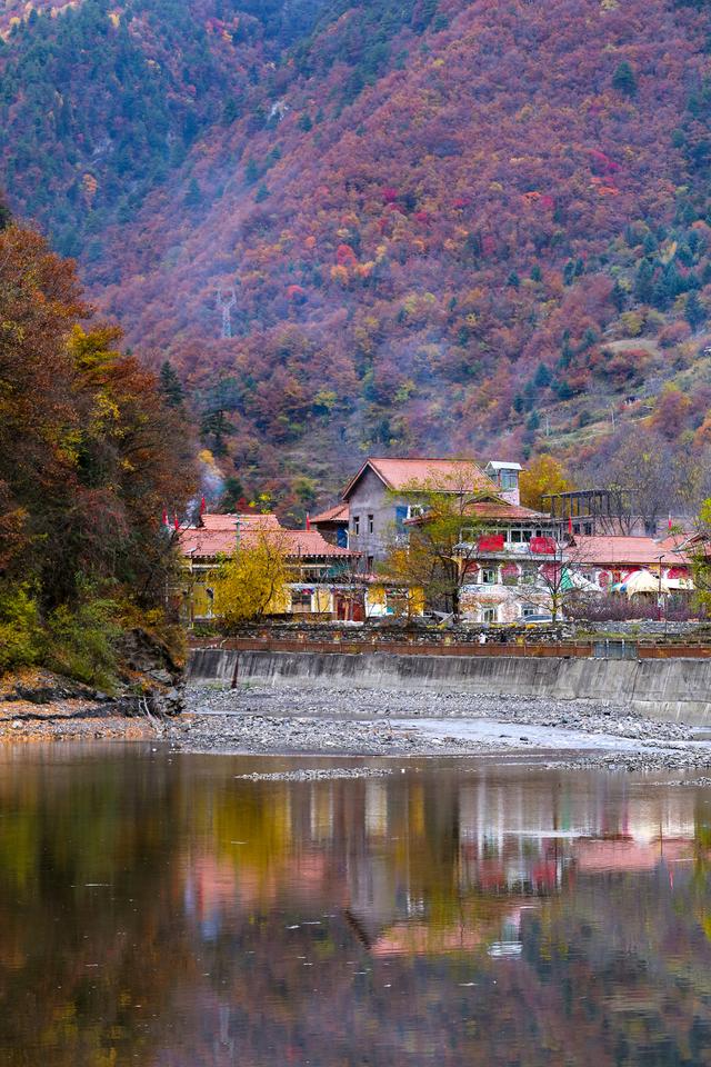 光影札记 | 黑水彩林：八十里画廊的彩林，藏着川西最绚烂的秋