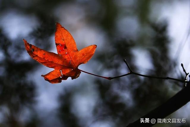 天池「初妆」，素颜静好