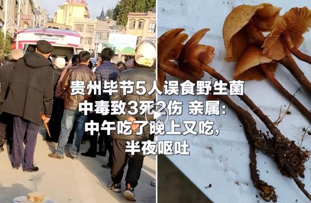 11月22日，星期六，2分钟带你读完今日要闻热点10条 第10张