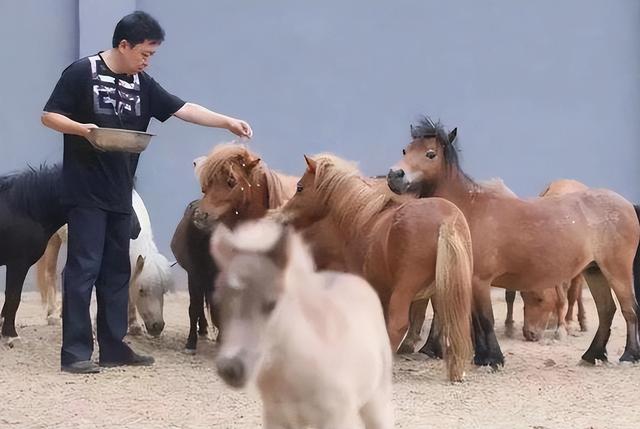 不查不知道一查吓一跳，坐拥北京 60 亩马场的于谦，私下到底有多壕