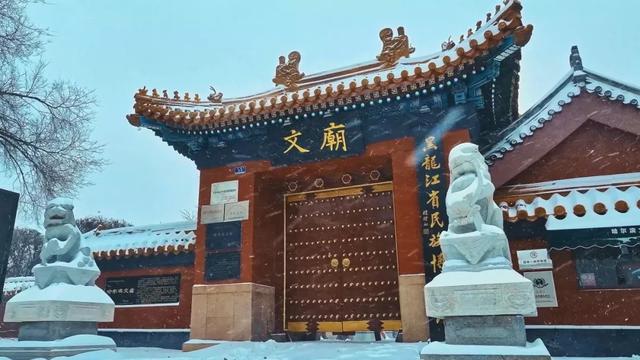 小雪｜哈尔滨拍照氛围感，拿捏！