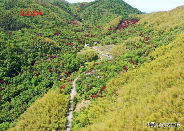 消失的赤水乡：一座水库，改变一个乡