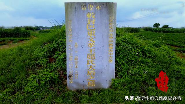 桂平人文：明朝那些事之——没落田野的皇家陵墓，南明屈氏太后墓