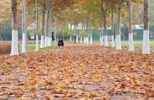 确定了，龙口5个区域！速来打卡