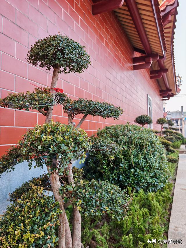 湖北云梦，祥云湾最美禅园