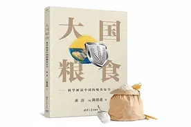 《大国粮食》选载087：粮食战争：过去、现在和未来：玉米（七）图片