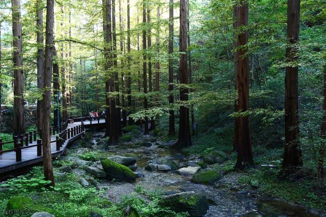 60岁之后一定要去一次！北京对老人免票的20+景点，不花钱还好玩