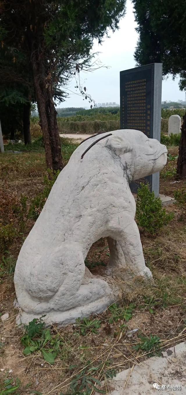 张克奇：​拜谒马状元