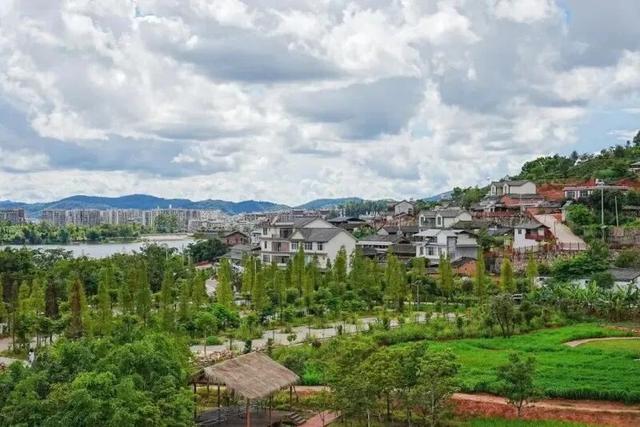 倒计时7天！解锁2025普洱茶咖博览会的N种宝藏玩法