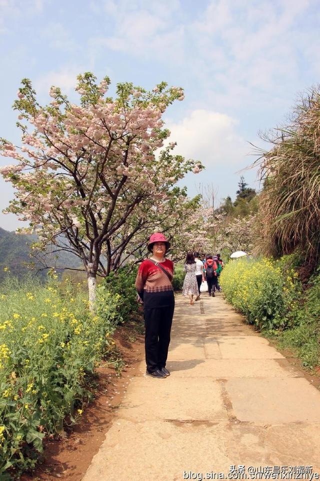 婺源篁岭旅游札记[三]（江西之旅第四十五篇）