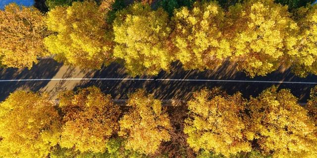 我拼了个“秋”！