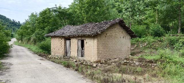 帮美女邻居抓老鼠，我钻进床下，却发现了一地的“玩具”