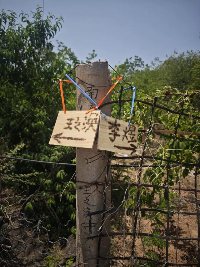 “古街”“古镇”千篇一律,但这其实并非坏事