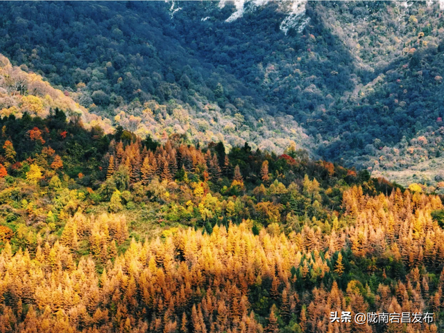 漫步雷古山：踏响官鹅沟的生态诗行