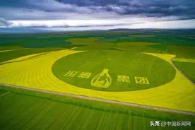 山西汾酒2023年度报告出炉 营收超过300亿图片