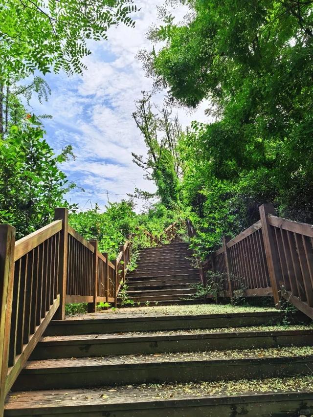 与青城山齐名！成都南门0.5h直达小众古寺，人少景美徒步好去处！