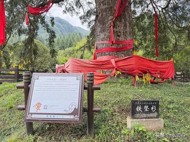 北京自驾长江三峡、神农架之旅（6）