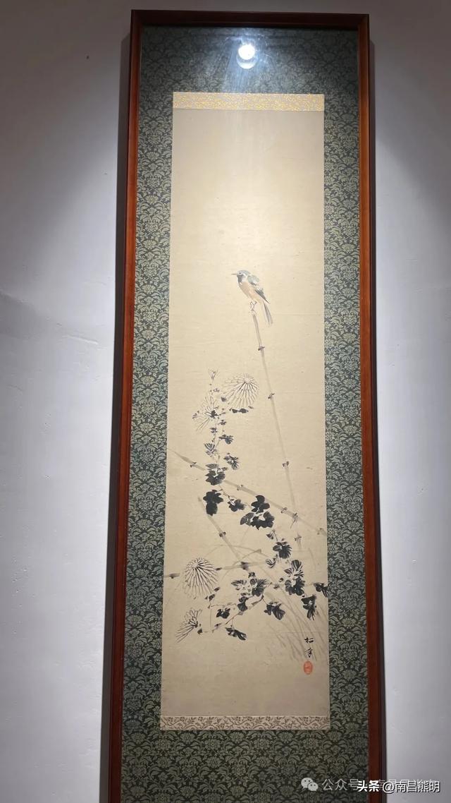 湾里揽胜：蟠龙峰下茶养云