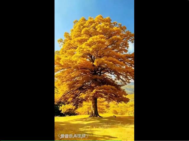 告别剪辑烦恼！一句话就能生成你的专属视频彩铃