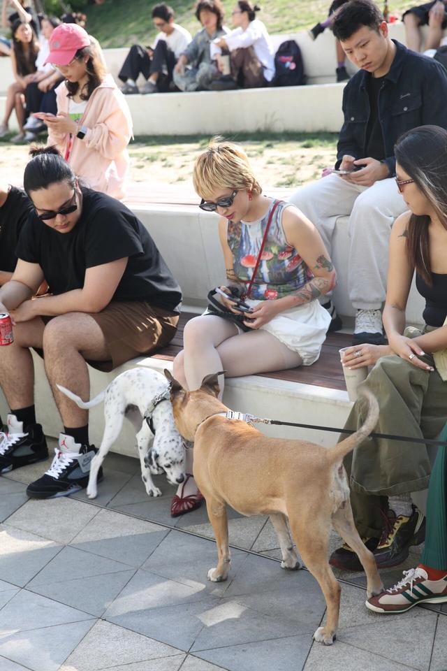 C·PARK地下音乐公园：构筑当代中国青年的先锋巢穴