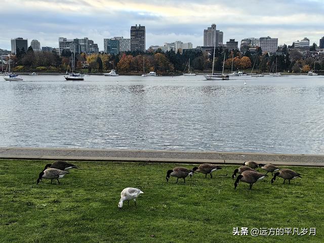 温哥华游记（六）