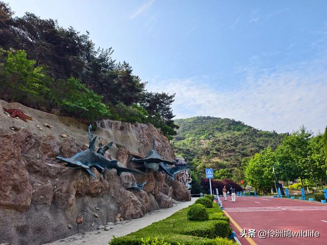 大连海之韵公园·棒槌岛
