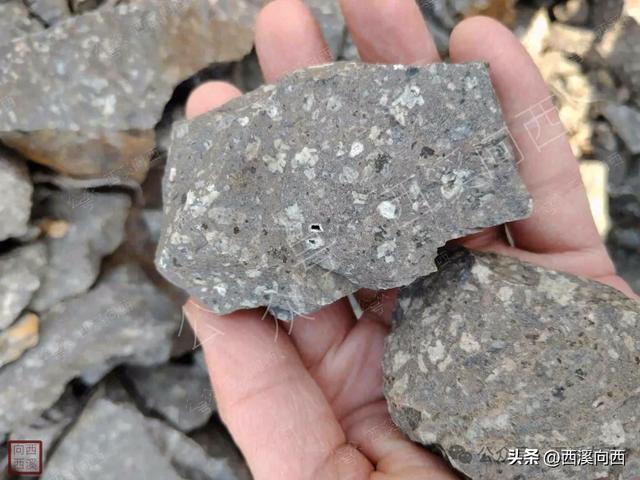 嘉兴太惨了，仅有的几个山头还被挖了个精光