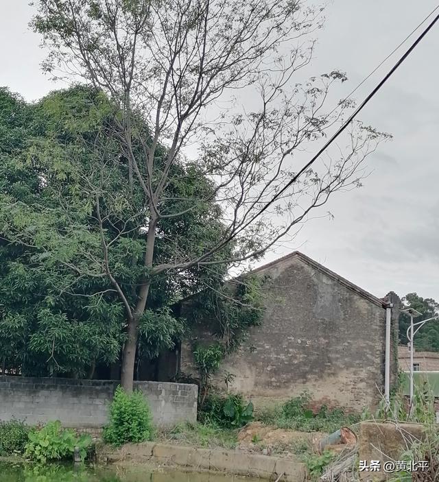 广西南宁市武鸣区被忽视的古村落，距离市区仅18公里却无人知晓