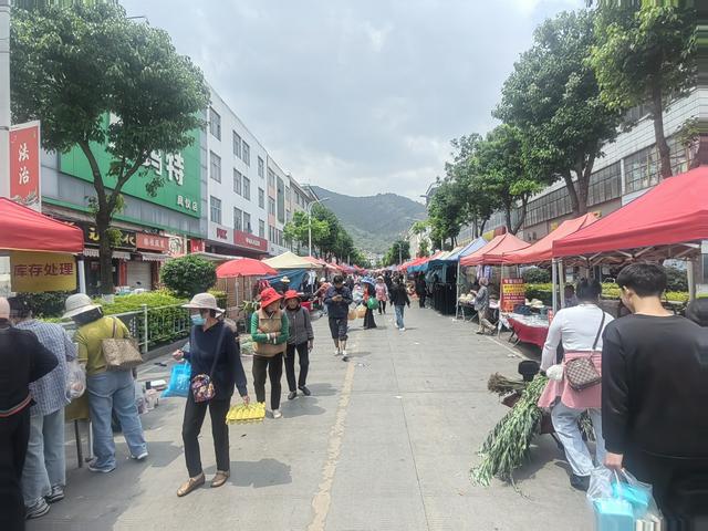 去赶大理凤仪街