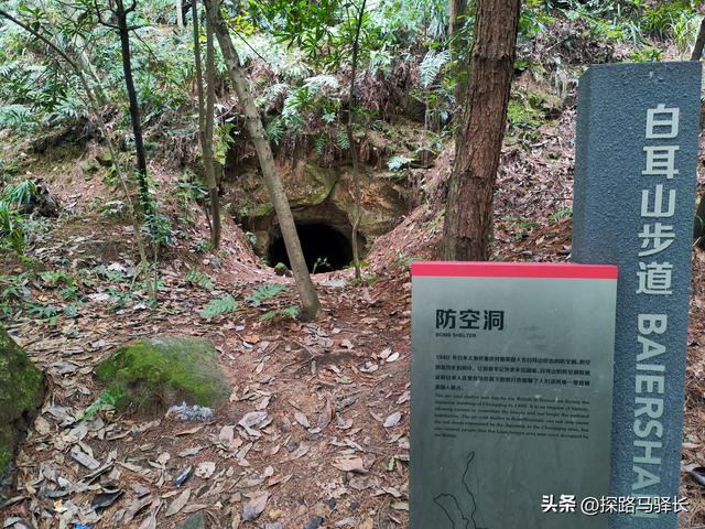 重庆主城藏了条“摆烂”步道：公交直达，轻松原始，就是有点费嘴