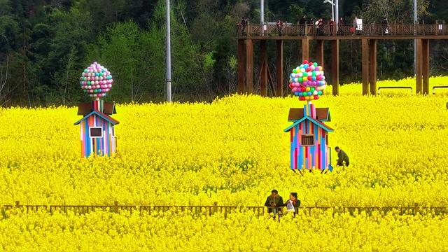 没“空”？要去荥经！沉浸式花海与动感山地交响，绘就全域旅游新画卷